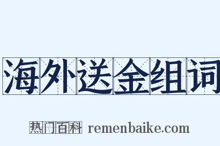 海外送金组词是什么意思的图片